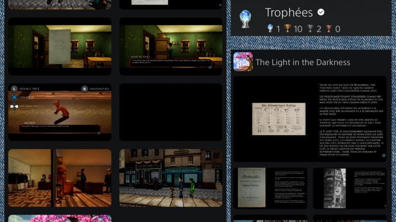 27 eme trophée Platine The Light in the Darkness