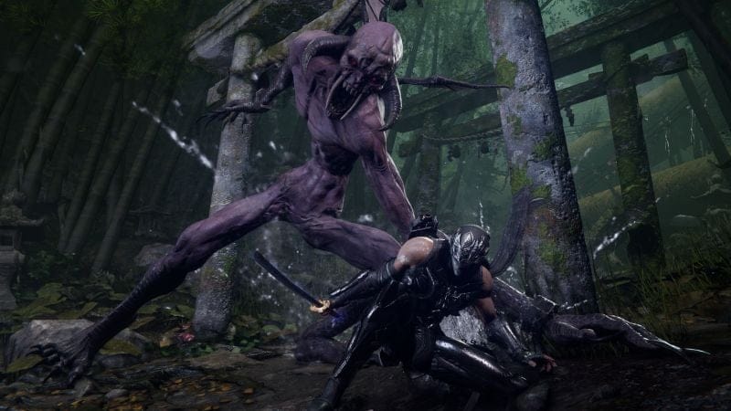 Microsoft est l'éditeur de Ninja Gaiden 4