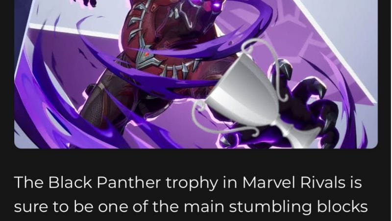 Black Panther pour sebo