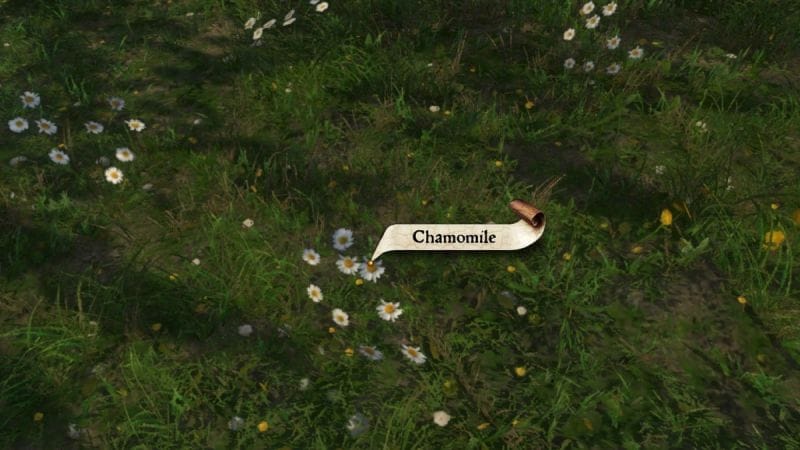 Camomille Kingdom Come 2 : Où et comment trouver cet ingrédient ?