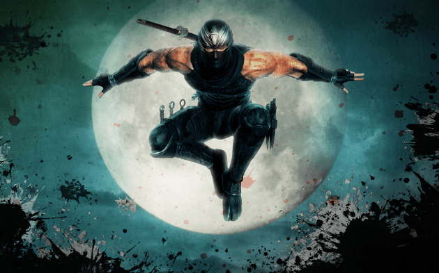 Team Ninja affirme que 2025 sera "l'année du ninja"