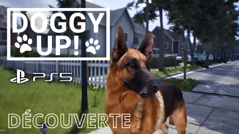 Doggy Up! - Gameplay découverte