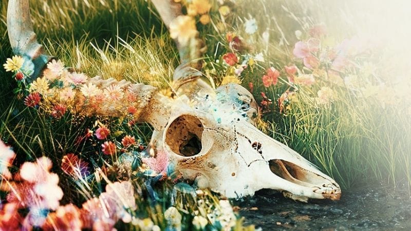 The Fading of Nicole Wilson : un walking sim à la sauce chasse aux fantômes