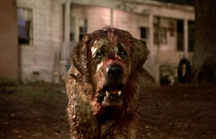 Netflix prévoit un remake du film Cujo de Stephen King