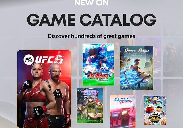 PlayStation on Instagram: "The PlayStation Plus Game Catalog for March includes:   💥 UFC 5 🏜️ Prince of Persia: The Lost Crown ⚽ Captain Tsubasa: Rise of New Champions  …and more. Find out the full lineup on PlayStation Blog."