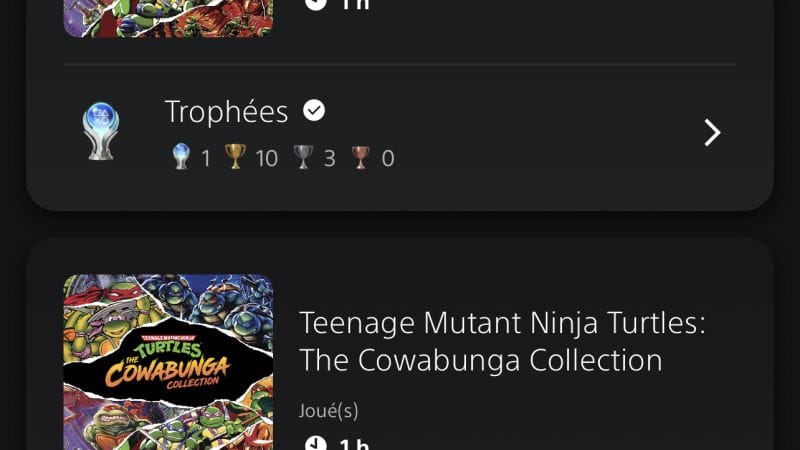 Platines 3819 et 3820 : TMNT The Cowabunga Collection