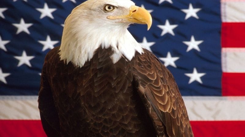 Charts USA : Monster Hunter Wilds et Kingdom Come Deliverance 2 en patrons