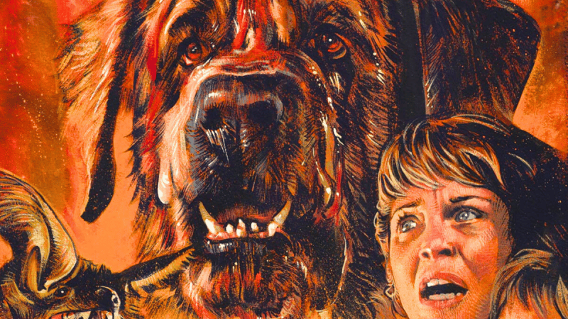 Cujo : Netflix veut ce réalisateur de renom pour sa nouvelle adaptation de Stephen King