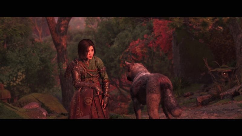 Adopter un animal de compagnie (30 millions d'amis... bientôt) | Guide Assassin's Creed Shadows