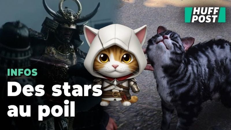 Les vraies stars d’Assassin’s Creed Shadows, ce sont les chats