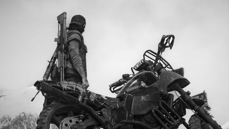 Mode photo "Days Gone"