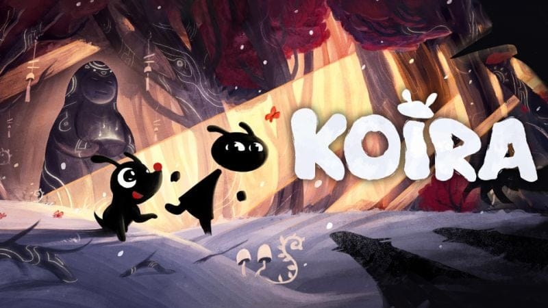 GEEKNPLAY - TEST - Koira