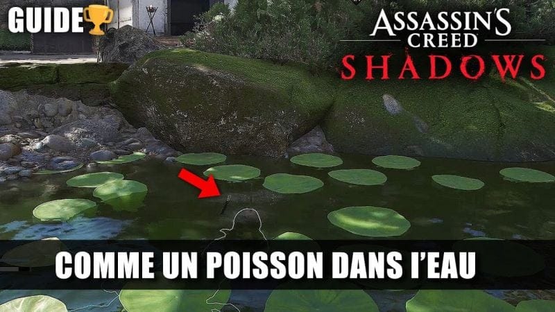 Assassin's Creed Shadows: 🏆 Comme un poisson dans l'eau Guide Trophées Succès (Conflit Bambou Creux)