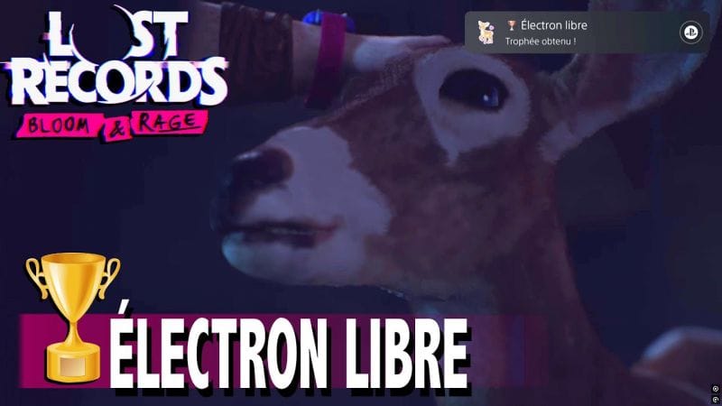 ÉLECTRON LIBRE - DONNEZ DE L'AFFECTION À GERTY - TROPHÉE LOST RECORDS BLOOM AND RAGE