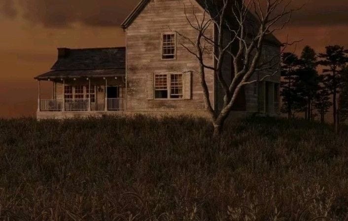 the last of us