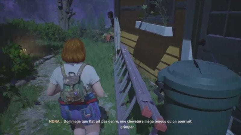 Lost Records Bloom & Rage Bug/Explication/Dernière Video a venir
