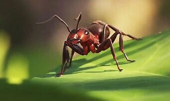 Les Fourmis : Microids dévoile les secrets de fabrication du jeu, direction la forêt de Fontainebleau