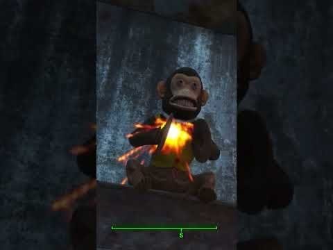 Les meilleurs Easter eggs de fallout 4