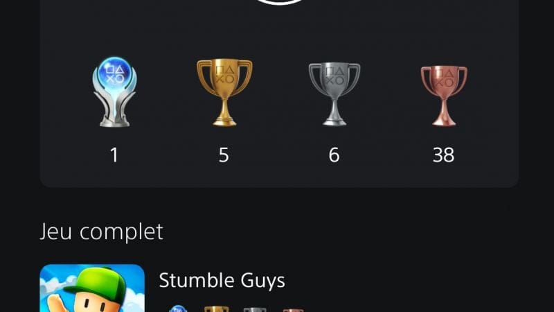 PLATINE STUMBLE GUYS