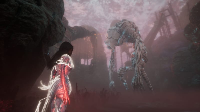 Bourgeon Clair Obscur : comment aider et venir à bout de ce gigantesque névron ?
