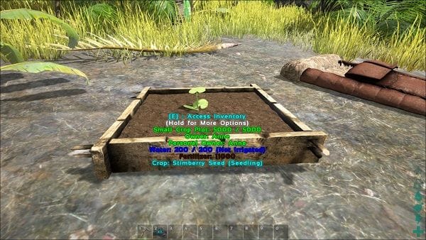 Cultiver des plantes