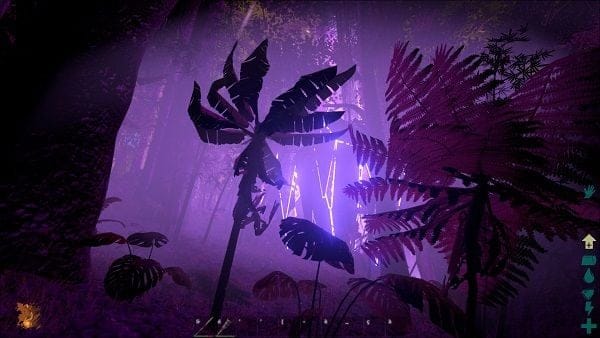 Objets des Beacons violets