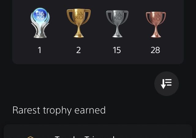Hogwarts platinum