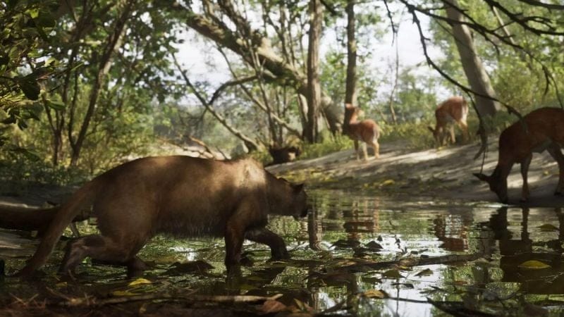 GTA 6 : quels sont les animaux que l’on pourra chasser dans le jeu ?