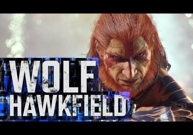 Virtua Fighter 5 R.E.V.O. ajoute des versions consoles sans préciser de date et Virtua Fighter 6 annonce Wolf Hawkfield dans son roster