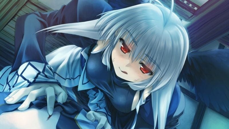 Aquaplus (Utawarerumono) : 2 ans après avoir été racheté, le studio est déjà revendu