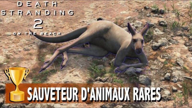 SAUVETEUR D'ANIMAUX RARES - Livrer Animal Albinos au refuge animalier - TROPHÉE - DEATH STRANDING 2