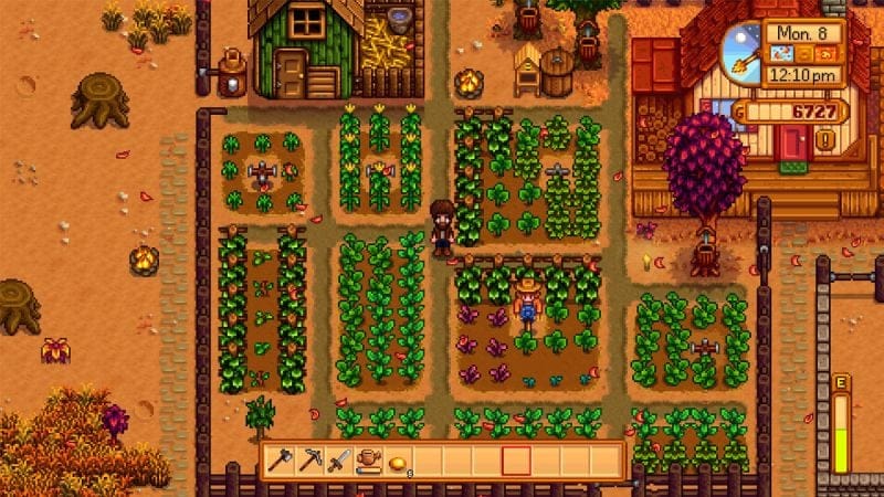 Stardew Valley Melon : comment en avoir ?