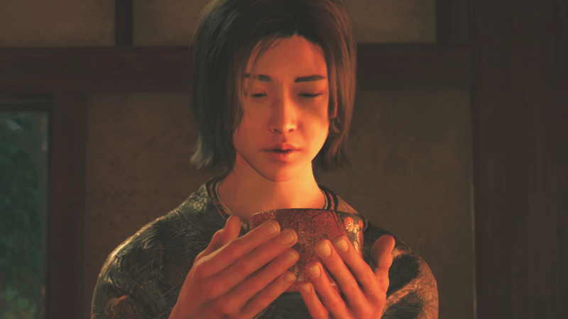 Assassin's Creed fait ce que les autres jeux vidéo ne font pas (ou presque) et ça le rend très particulier à cet égard...