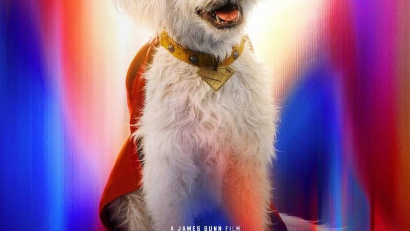 Le chien de Superman augmente les recherches de chiens de sauvetage de 513 %.