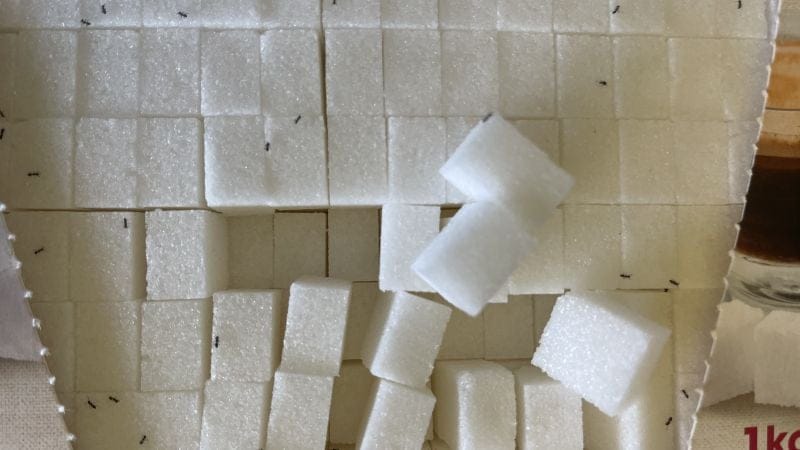 Billet du jour, bonjour 20/07/25 sugar