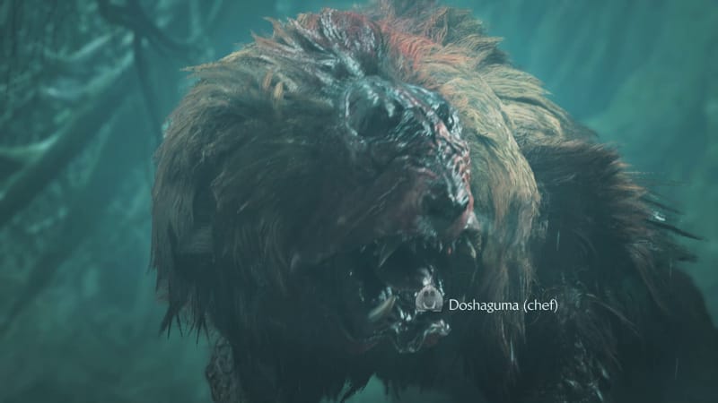 Doshaguma