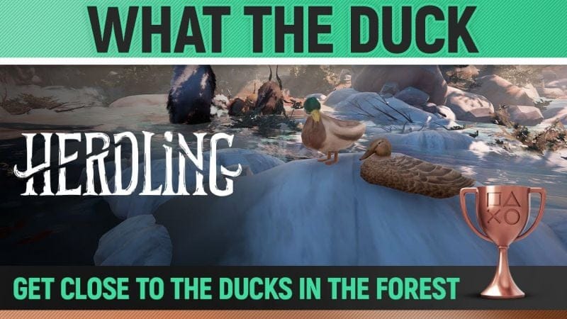 Herdling - What the Duck 🏆 Trophy / Achievement Guide