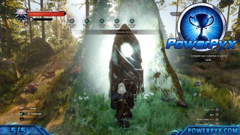 The Witcher 3 Wild Hunt - All Places of Power Bonuses (Power Overwhelming Trophy / Achievement)