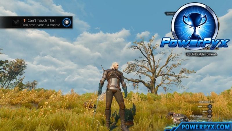 The Witcher 3 Wild Hunt - Butcher of Blaviken & Can't Touch This! Trophy / Achievement Guide