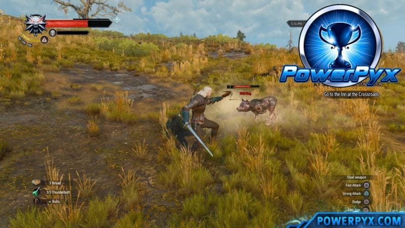 The Witcher 3 Wild Hunt - Triple Threat Trophy / Achievement Guide