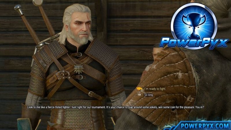 The Witcher 3 Wild Hunt - Fist of the South Star Trophy / Achievement Guide