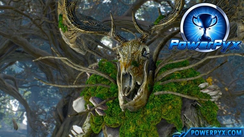 The Witcher 3 Wild Hunt - Woodland Spirit Trophy / Achievement Guide (In the Heart of the Woods)