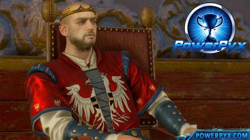 The Witcher 3 Wild Hunt - Assassin of Kings Trophy / Achievement Guide (Reason of State Side Quest)