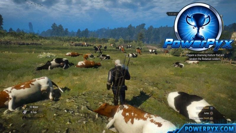 The Witcher 3 Hearts of Stone DLC - Moo-rderer Trophy / Achievement Guide (Kill 20 Cows)