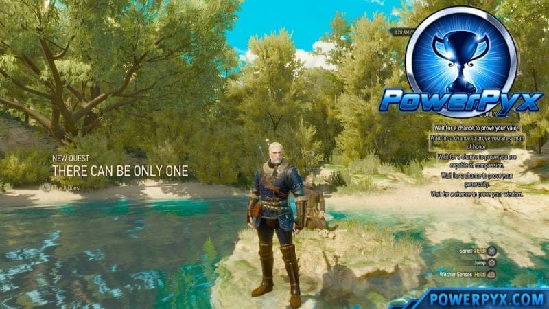 The Witcher 3 Blood and Wine DLC - Embodiment of the Five Virtues Trophy / Achievement Guide