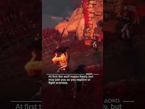 A lone wolf no longer 🐺