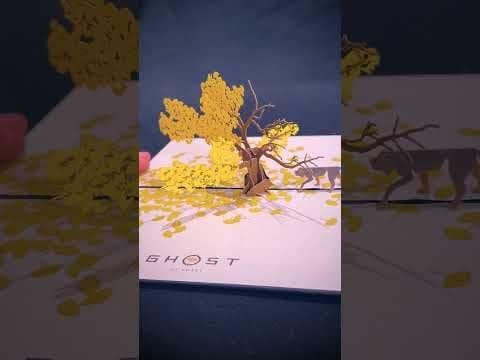 Ghost of Yōtei Collector's Edition