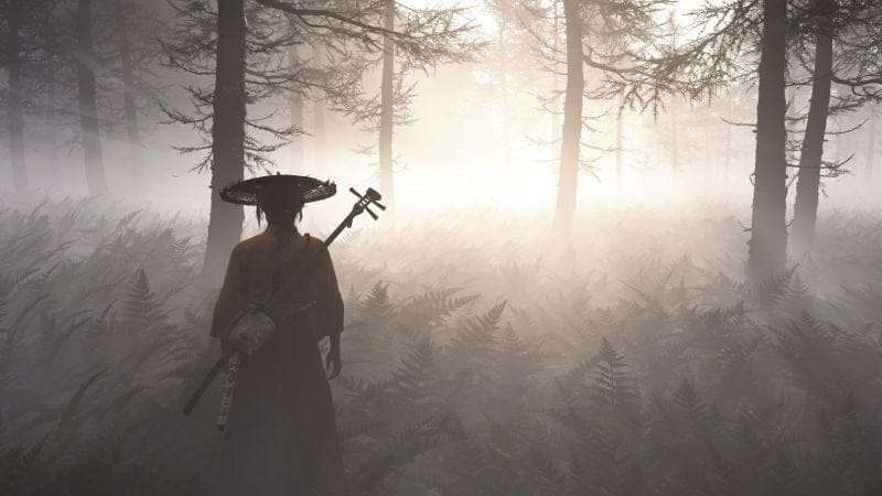 Ghost of Yōtei - Mon ressenti après 8h de jeu