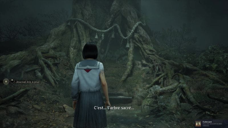 L'arbre millénaire, où le trouver ? | Guide Silent Hill f