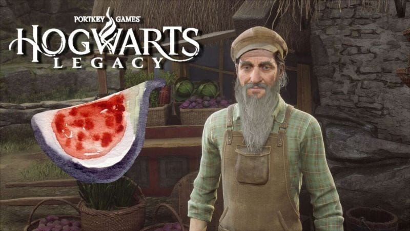 Fruit de figuier d'abyssinie Hogwarts Legacy : Comment obtenir de la figue sèche pour le devoir de Sharp ?